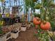 Spacious greenhouse with growing tomatoes and innovative vertical hydroponics at 2920 W Parkside Pl, Denver, CO 80221