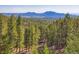 Scenic view of lush green forest with mountains in the background at 11876 Coal Creek Heights Dr, Golden, CO 80403