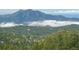 Breathtaking view of evergreen trees and mountain range on a cloudy day at 11876 Coal Creek Heights Dr, Golden, CO 80403