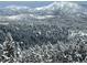 Snow covered landscape with mountain view and trees covered in snow at 11876 Coal Creek Heights Dr, Golden, CO 80403