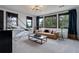 Recreation room with a basketball game and comfortable lounging area at 6111 Huron Pl, Castle Rock, CO 80108
