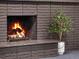 Close-up of the brick fireplace with a live potted plant at 8331 Oakwood St, Westminster, CO 80031