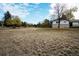 Large grassy backyard, perfect for recreation and relaxation, with potential for landscaping at 8895 Morton Rd, Niwot, CO 80503