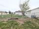 A backyard featuring grass, trees and a chain-link fence at 437 S Fetzer St, Byers, CO 80103