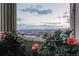 Private balcony with flowers and a scenic city view at 300 W 11Th Ave # 18C, Denver, CO 80204
