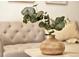 Close-up of living room decor highlighting a modern vase, lush greenery, and a comfortable sofa at 1629 N Clarkson St # 23, Denver, CO 80218