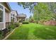 Lush green backyard with large shade tree and covered patio with dining table at 3144 Stevens N Cir, Erie, CO 80516