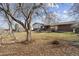 Large backyard featuring lawn, mature tree, and a covered patio, creating a serene outdoor oasis at 10475 Tancred St, Northglenn, CO 80234