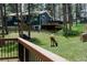 Backyard view with a deer grazing, fenced yard, and deck, perfect for enjoying the tranquil outdoor setting at 29101 Drexel Spur, Evergreen, CO 80439