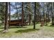 Charming cabin exterior featuring a spacious deck and surrounded by lush green grass and mature pine trees at 29101 Drexel Spur, Evergreen, CO 80439