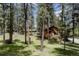 Idyllic cabin exterior nestled among mature trees and a manicured lawn, offering a serene mountain living experience at 29101 Drexel Spur, Evergreen, CO 80439