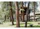 Unique treehouse in a wooded backyard, offering a fun and adventurous retreat amidst nature at 29101 Drexel Spur, Evergreen, CO 80439