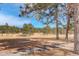 Scenic golf course view with lush green fairways and mature trees on a sunny day at 2378 Hearth Dr # 6, Evergreen, CO 80439