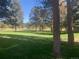 Lush green golf course view with mature trees and blue sky at 2378 Hearth Dr # 6, Evergreen, CO 80439