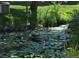 Community pond with water lilies and lush greenery at 3414 S Eagle St # 201, Aurora, CO 80014