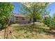 Private backyard featuring a well-maintained lawn, mature tree, and charming birdhouse at 5403 Odessa St, Denver, CO 80249