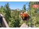 Scenic backyard deck view, showing bright hanging flowers with mountain rock formations and tall trees in the distance at 25531 Mosier Cir, Conifer, CO 80433