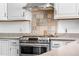 Close up of the range showcasing the decorative tile backsplash and stainless steel vent hood at 25531 Mosier Cir, Conifer, CO 80433