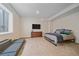 Basement bedroom with a bed, dresser, TV, sitting area, neutral walls, and plush carpeting at 13955 Craig Way, Broomfield, CO 80020