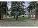 Lush backyard with mature trees at 5077 Camel Heights Rd # C, Evergreen, CO 80433