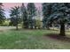 Spacious grassy backyard with mature trees and a calming atmosphere at 5077 Camel Heights Rd # C, Evergreen, CO 80433