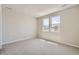 Bright bedroom with large windows offering an abundance of natural light and neutral colored walls and carpet at 4748 Weitbrec Ln, Castle Rock, CO 80104