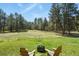Serene backyard featuring a fire pit and Adirondack chairs amidst a backdrop of lush trees and greenery at 35550 Running Brook Ln, Elizabeth, CO 80107