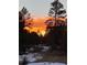 The sky sets ablaze with a fiery sunset viewed between the tall pines and low snow on the ground at 35550 Running Brook Ln, Elizabeth, CO 80107