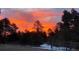 A vibrant sunset over the treeline illuminates the sky with vivid colors, showcasing the area's natural beauty at 35550 Running Brook Ln, Elizabeth, CO 80107