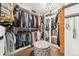 Spacious walk-in closet with custom shelving, hardwood floors, and mirrored vanity at 1669 Stable View Dr, Castle Pines, CO 80108
