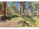Backyard with trees and a fenced area at 2976 Hiwan Dr, Evergreen, CO 80439