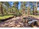 Landscaped backyard with a stone fire pit, bench, and grassy area at 2976 Hiwan Dr, Evergreen, CO 80439