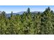 Scenic views of rolling mountains amongst tall trees on a clear sunny day at 2976 Hiwan Dr, Evergreen, CO 80439