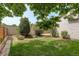 Lush backyard with healthy lawn and mature shrubs, surrounded by a wooden fence and tall trees at 11186 E Baltic Dr, Aurora, CO 80014