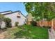Grassy backyard surrounded by mature trees, offering a private outdoor space at 11186 E Baltic Dr, Aurora, CO 80014