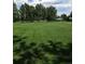 Expansive green park with mature trees and open space, ideal for recreation and relaxation at 2521 Billings St, Aurora, CO 80011