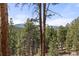 Breathtaking mountain views seen through the trees at 7395 Heiter Hill Dr, Evergreen, CO 80439