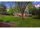 Large backyard with green grass, mature trees, a pergola covered patio and landscaping at 5735 Big Canon Dr, Greenwood Village, CO 80111
