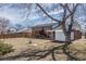 Spacious backyard featuring a large grassy area, trees, and a storage shed at 785 Planet Pl, Thornton, CO 80260
