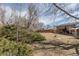 Expansive backyard featuring a lawn, mature trees and shrubs, and a brick two-story home at 785 Planet Pl, Thornton, CO 80260