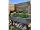 Wooden planter box filled with herbs and plants, complemented by stacked firewood at 3930 S Hazel Ct, Englewood, CO 80110