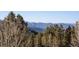 The home has beautiful mountain views at 32094 Christopher Ln, Conifer, CO 80433