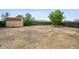 An open, grassy backyard includes a storage shed and privacy fence at 9366 Clermont Dr, Thornton, CO 80229