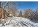 Large backyard with mature trees and snow coverage at 994 S Vivian Ct, Lakewood, CO 80228