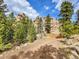 Scenic view of the drive leading up to the home surrounded by natural rock outcroppings and lush pine trees at 24354 Eagle Cliff Trl, Conifer, CO 80433