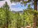 Scenic mountain views are framed by mature pine trees surrounding the property and offer a quiet respite at 24354 Eagle Cliff Trl, Conifer, CO 80433