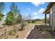 Landscaped side yard featuring various trees and decorative rock at 3429 Goodyear St, Castle Rock, CO 80109