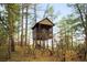 Rustic cabin-style treehouse set amongst mature pines at 612 Nob Hill Trl, Franktown, CO 80116