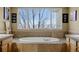 Close-up of the elegant soaking tub and the large window to let in natural light at 7862 Stonedale Dr, Castle Pines, CO 80108