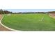The lush green sports field with a soccer goal on a sunny day is ready for a fun game at 668 Sage Forest Ln, Monument, CO 80132